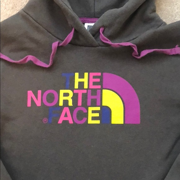 Super Cute The North Face Hoodie 🍁 - Picture 2 of 4